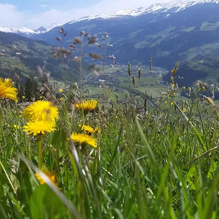 Haus Wildschütz Apartment Hippach