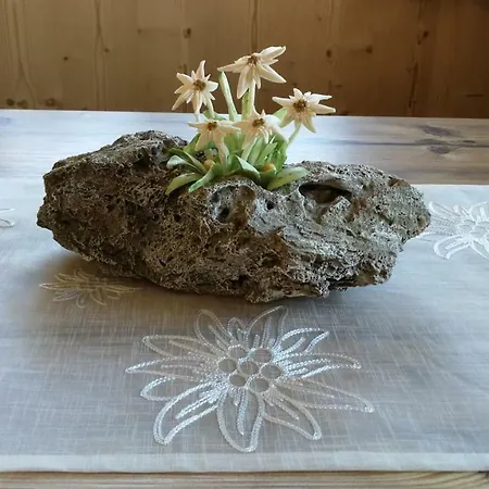 Haus Wildschütz Apartment