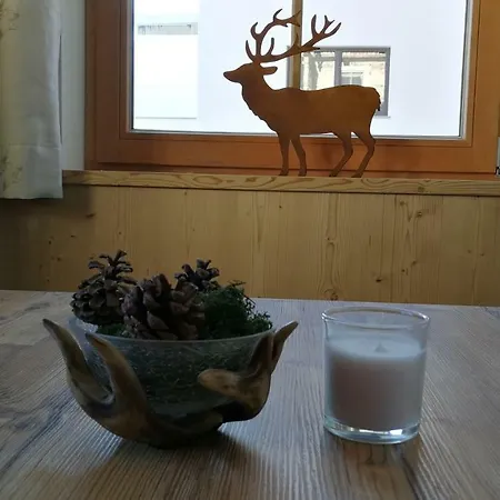 Haus Wildschuetz Hippach