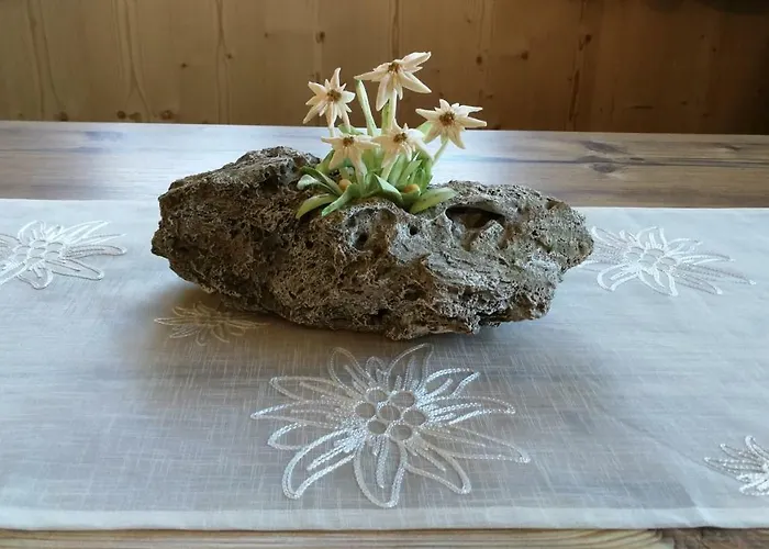 Haus Wildschütz Apartment