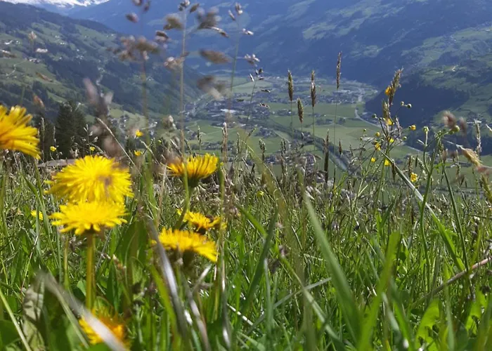 Haus Wildschuetz Apartament Hippach