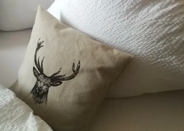 Apartament Haus Wildschuetz